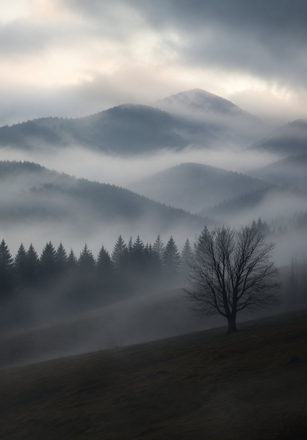 Nebel über bewaldeten Sauerland-Hügeln mit einsamem kahlen Baum
